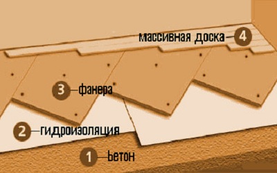 napol.jpg